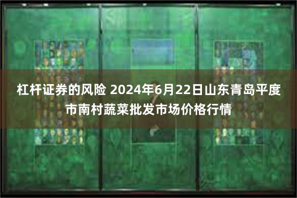 杠杆证券的风险 2024年6月22日山东青岛平度市南村蔬菜批发市场价格行情