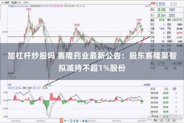 加杠杆炒股吗 赛隆药业最新公告：股东赛隆聚智拟减持不超1%股份