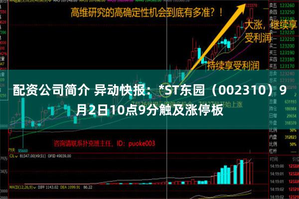 配资公司简介 异动快报：*ST东园（002310）9月2日10点9分触及涨停板