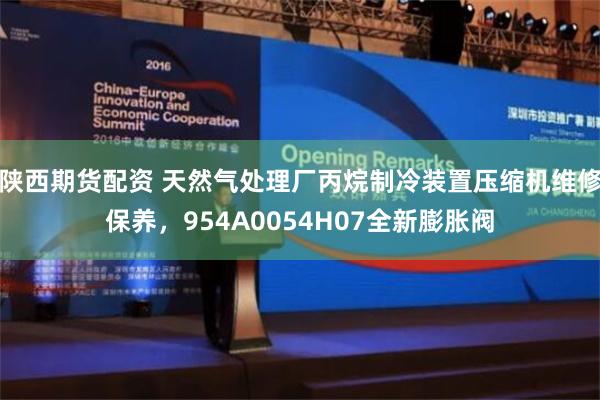 陕西期货配资 天然气处理厂丙烷制冷装置压缩机维修保养，954A0054H07全新膨胀阀