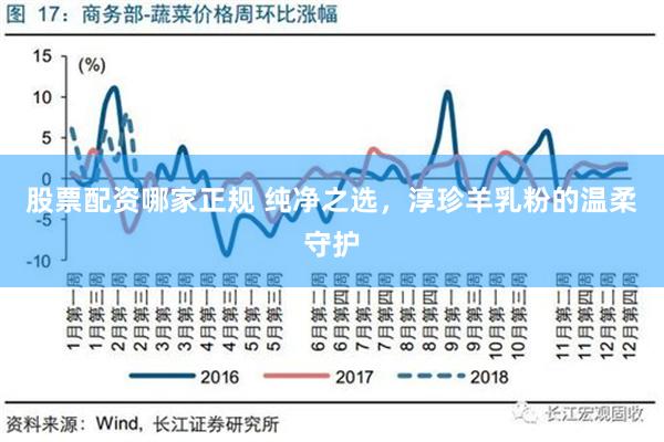 股票配资哪家正规 纯净之选，淳珍羊乳粉的温柔守护