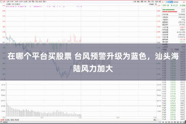 在哪个平台买股票 台风预警升级为蓝色，汕头海陆风力加大