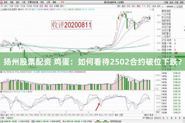 扬州股票配资 鸡蛋：如何看待2502合约破位下跌？