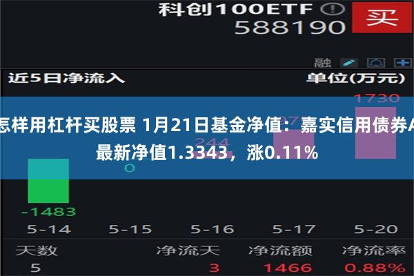 怎样用杠杆买股票 1月21日基金净值：嘉实信用债券A最新净值1.3343，涨0.11%